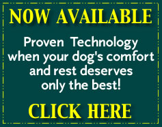 Check out the Pressure Kair Healing Dog Bed
